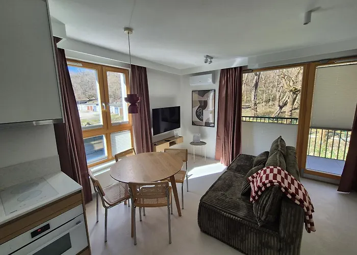 Lion Apartments - Mloda Polska Nowe Apartamenty Z Parkingiem